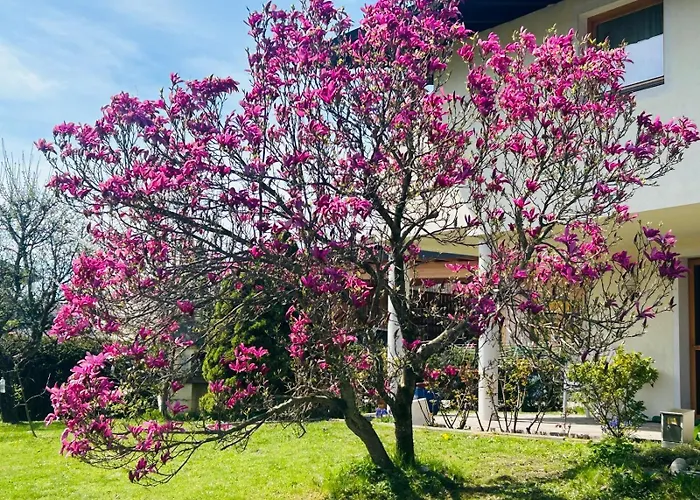 Haus Lang 蒂罗的圣约翰