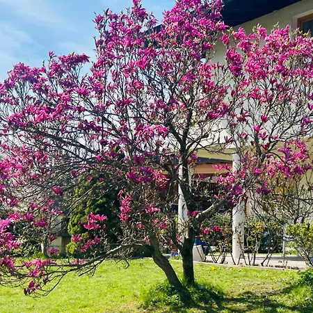 Haus Lang Sankt Johann in Tirol
